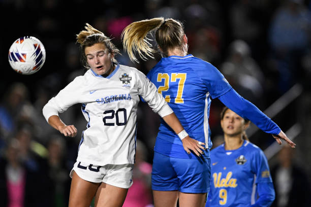 为何备受追 为何备受追